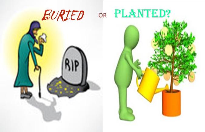 Buried or Planted